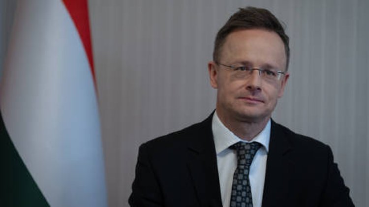 Hungarian FM Says EU 'stabbed its economy in the heart' With Russia Sanctions