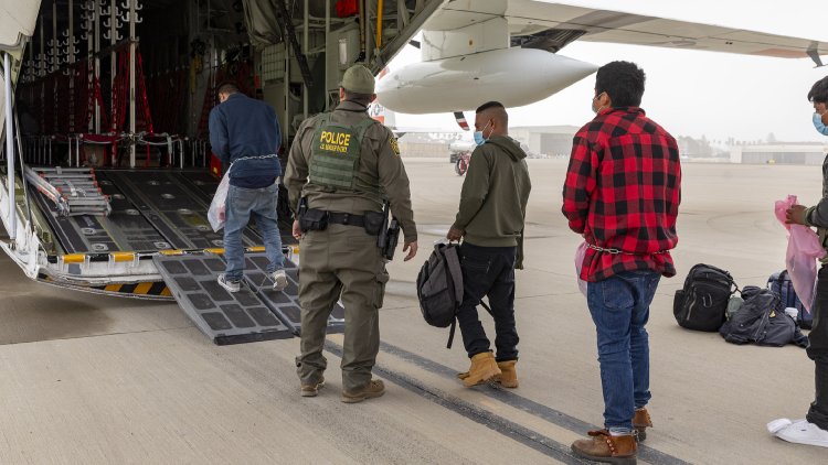 Study: U.S. Immigration Policies Impede Bird Flu Prevention Efforts