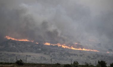 Israel Struck by 'Largest Ever' Wildfires