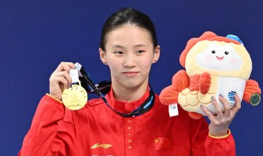 Chen Yuxi and Wang Zongyuan Capture Gold Medals at Diving World Cup Super Final
