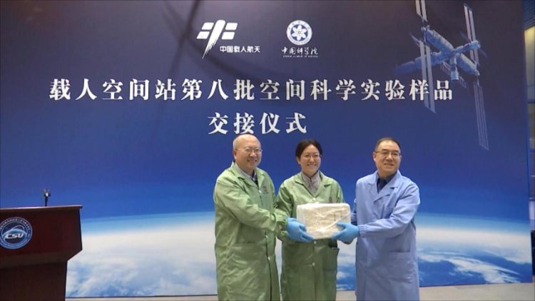 Specimens from "Shenzhou-19" Space Experiments Delivered to Researchers