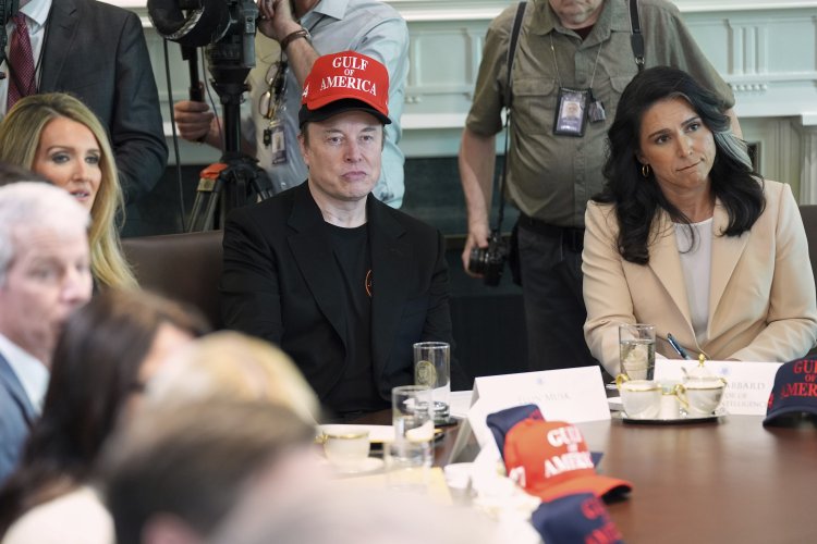Elon Musk suggests DOGE must persist, amid indications he might step down