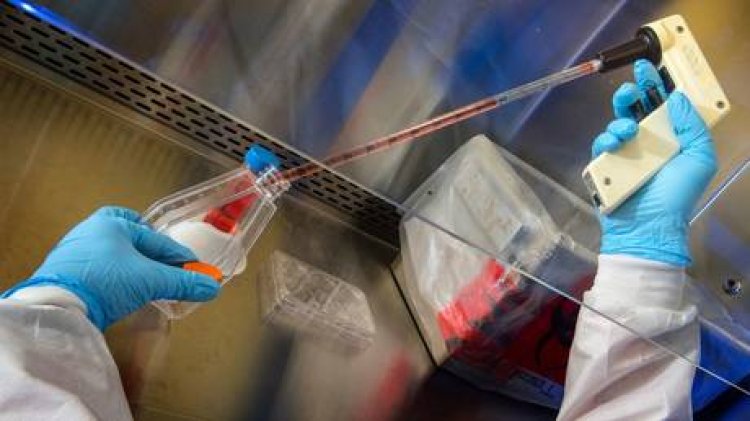 Trump halts funding for virus research