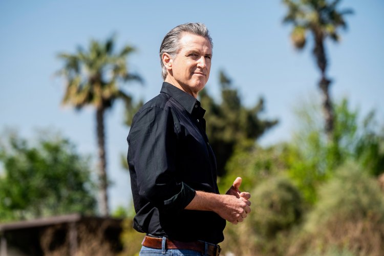 Gavin Newsom Adjusts Trump's Tariffs in Recent Fox News Commercial